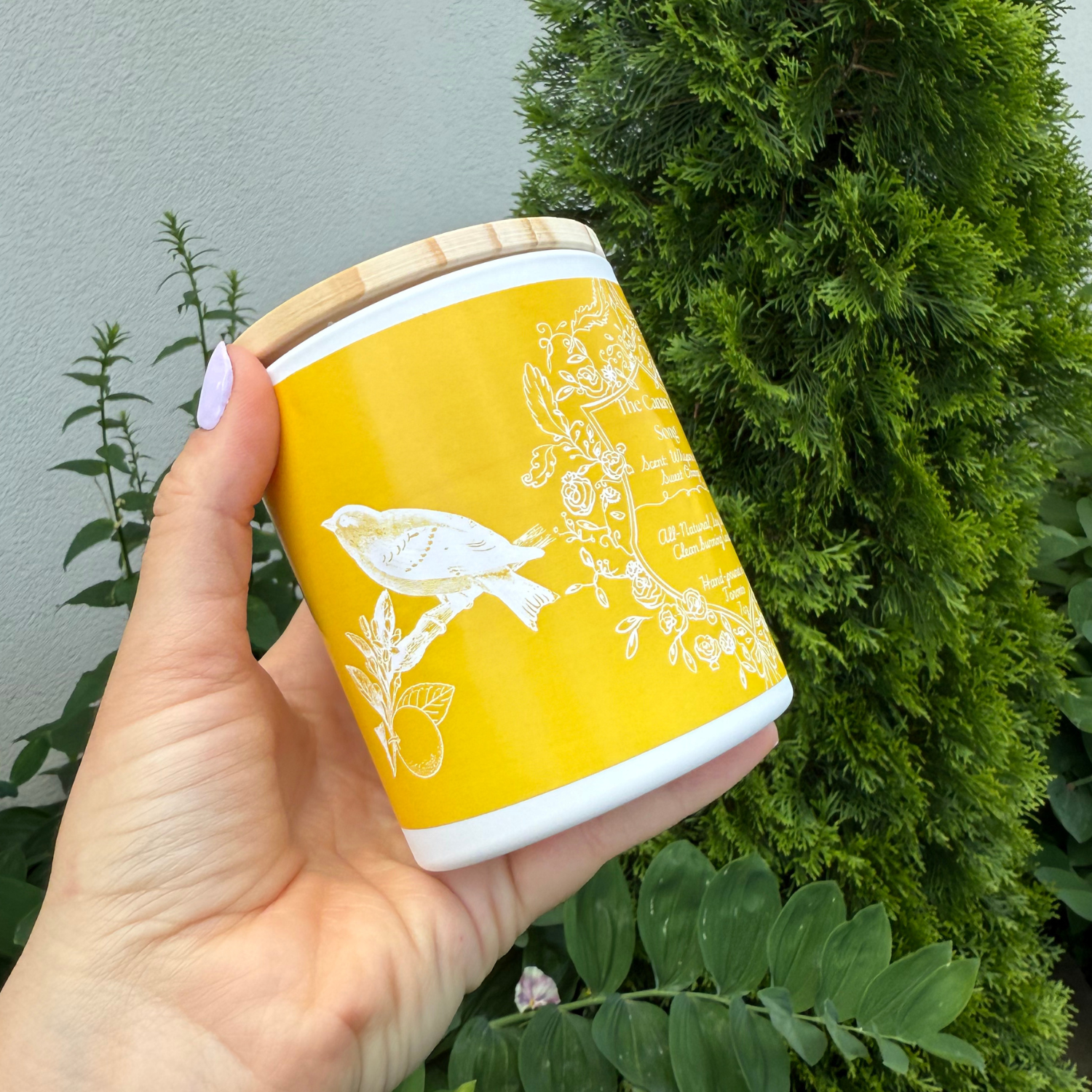 Feather & Flame Inc - Wholesale Jar/Filled Candle - "The Canary's Song " - Sweet Orange 100% Soy Wax Candle1