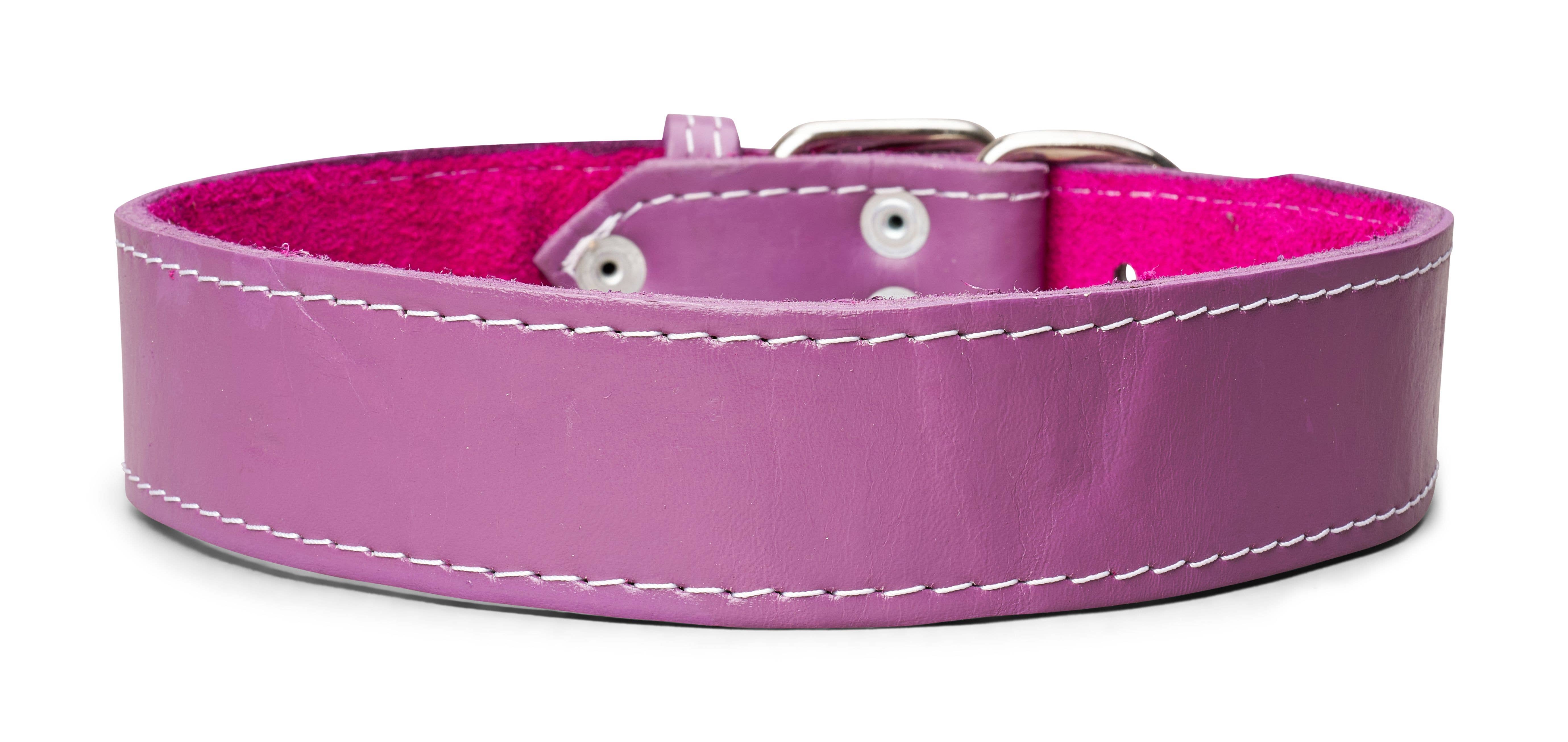 TOP DOG BRAND INC - Wholesale Pet Collar - Dog - 1 3/4 Inch Wide Plain Leather Collars12