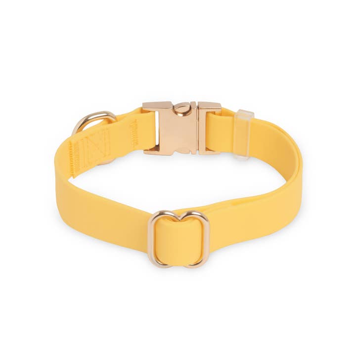 SUNNY TAILS - Vente Collier – chien - Collier imperméable pour chien jaune pissenlit