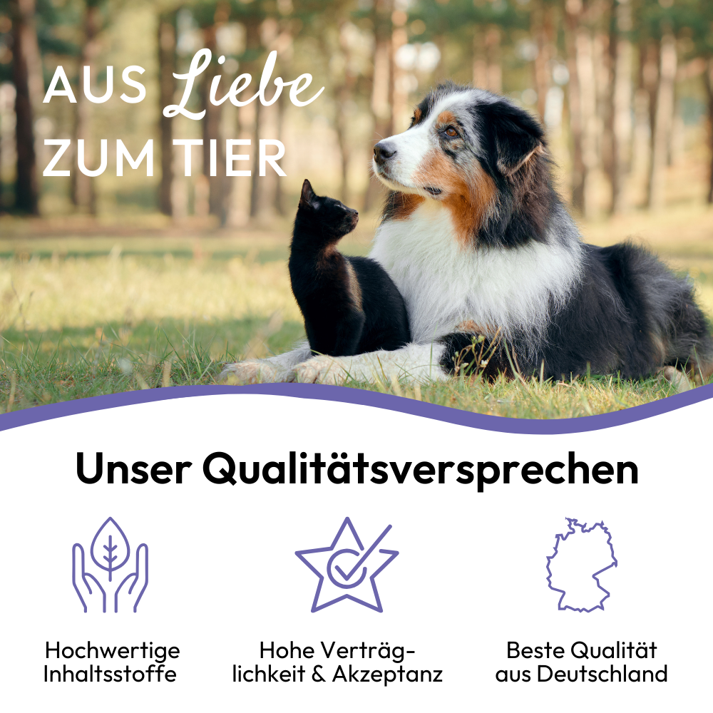 Kauartikel.com GmbH - Wholesale Pet Supplement - Dog - PHA calming paste for dogs 100ml (5 pieces)5