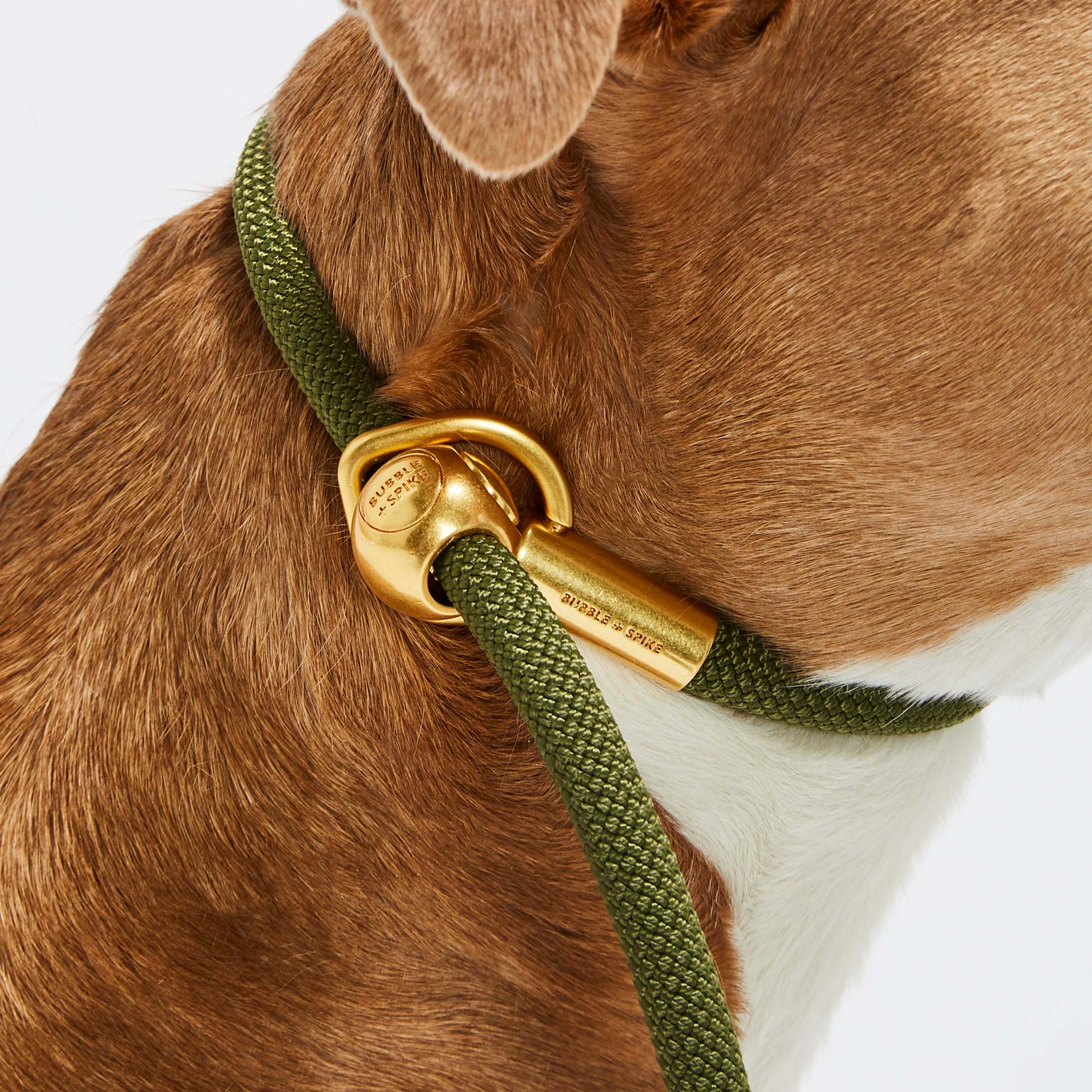 Bubble and Spike - Vente Laisse – chien - Olive Gold Simple Slip Lead™0