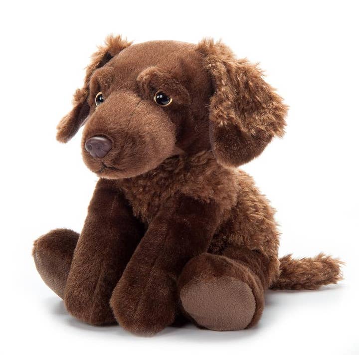 Cane Chesapeake Retriever Piccolo 9" (20cm) Cucciolo di Cane per la vendita all'ingrosso da parte di The Petting Zoo