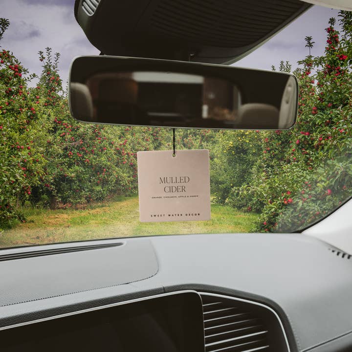 Sweet Water Decor - Wholesale Air Freshener - Mulled Cider Hanging Air Freshener - Home Decor3