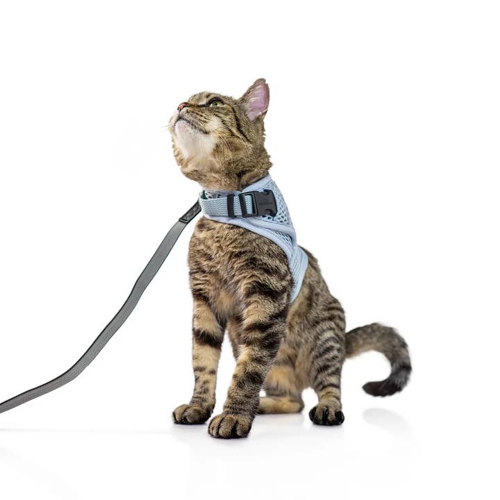 Sleepypod - Wholesale Pet Harness - Cat - Martingale Calming Cat Harness - Walking Harness (Bundle)