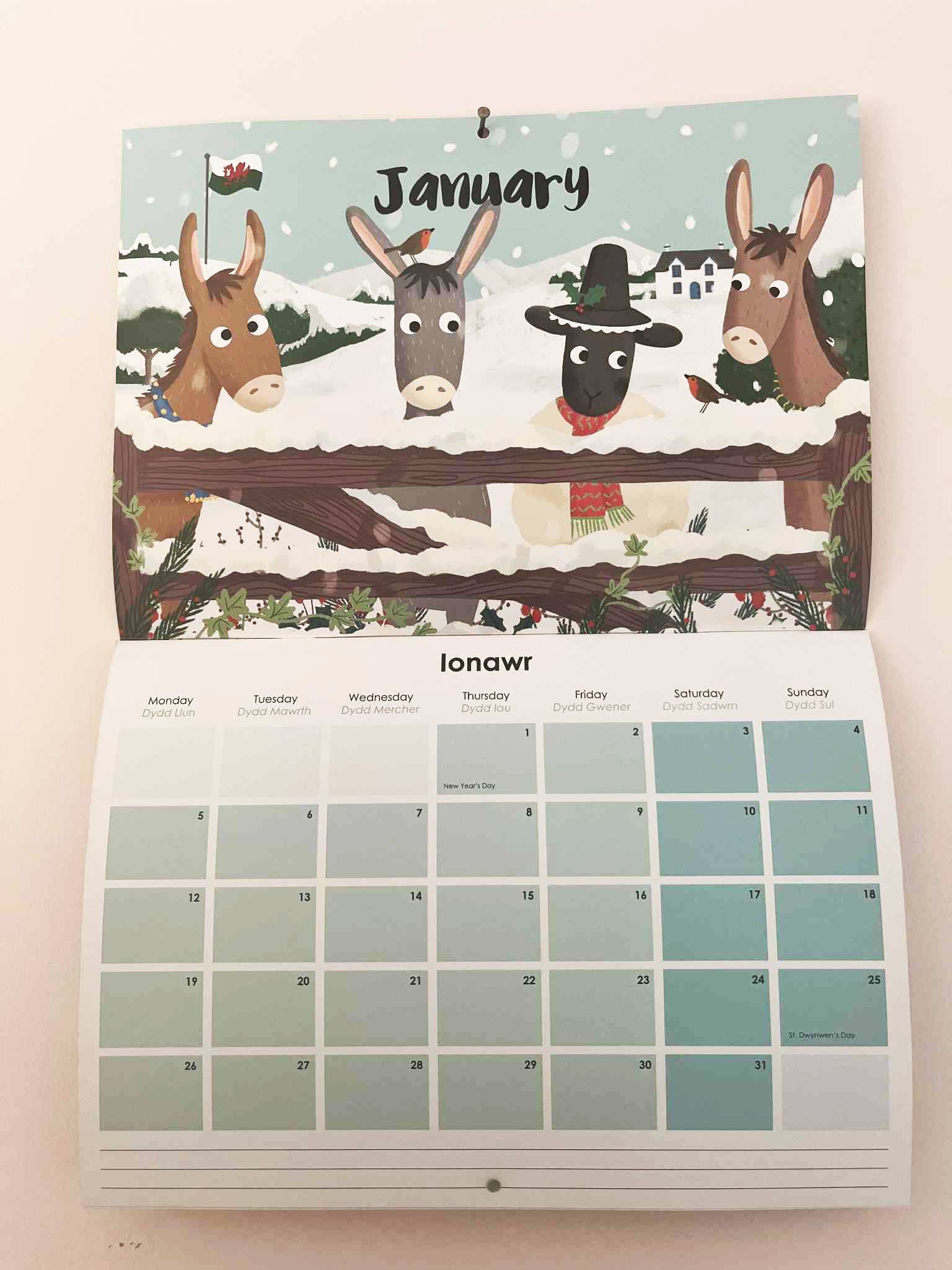 The Paintbox - Wholesale Calendar - Welsh woolies 2026 Calendar (Bi-lingual)4