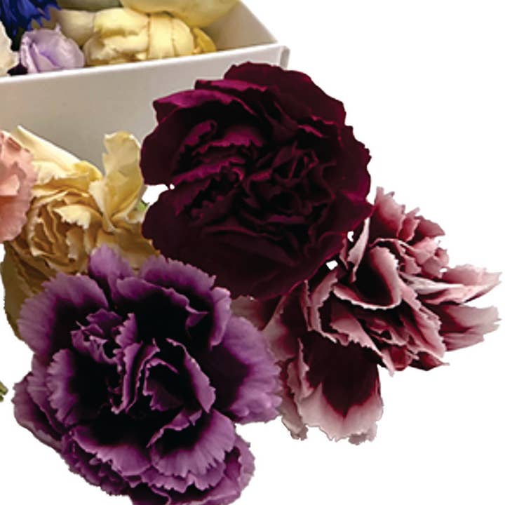 Freshly Preserved - Wholesale Cake/Cupcake Topper - Freeze-dried Edible Mini Carnation and Bachelor Buttons
