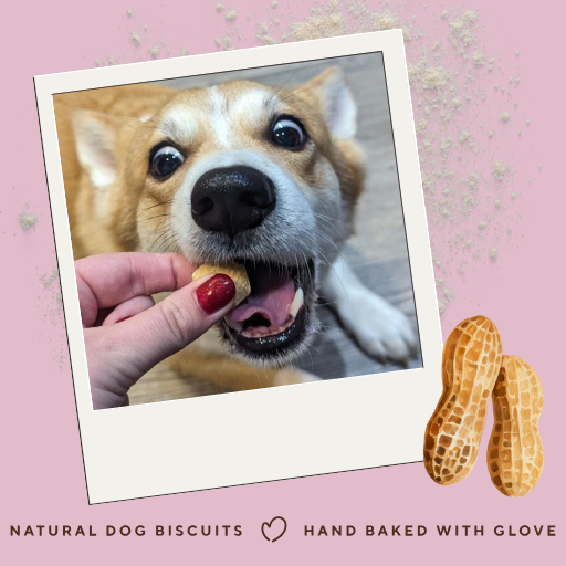 Betty Miller – wholesale Pet treats – Dog – Grain-Free Peanut Butter Bites2