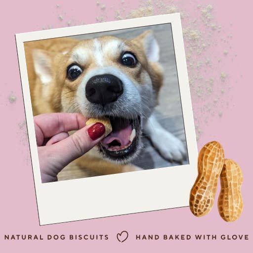 Betty Miller – wholesale Pet treats – Dog – Grain-Free Peanut Butter Bites2