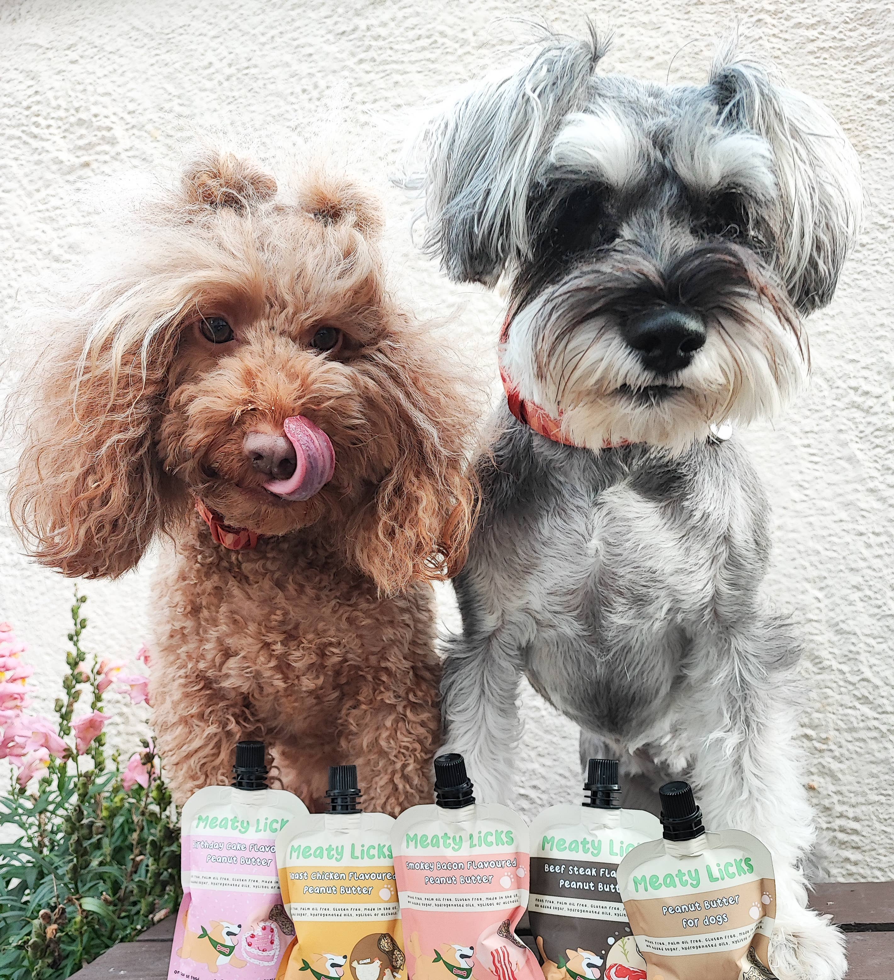 Apex Pet Products (Meaty Bubbles) - Wholesale Pet Treats - Dog - Peanut Butter Pouch for dogs 113g 4oz1