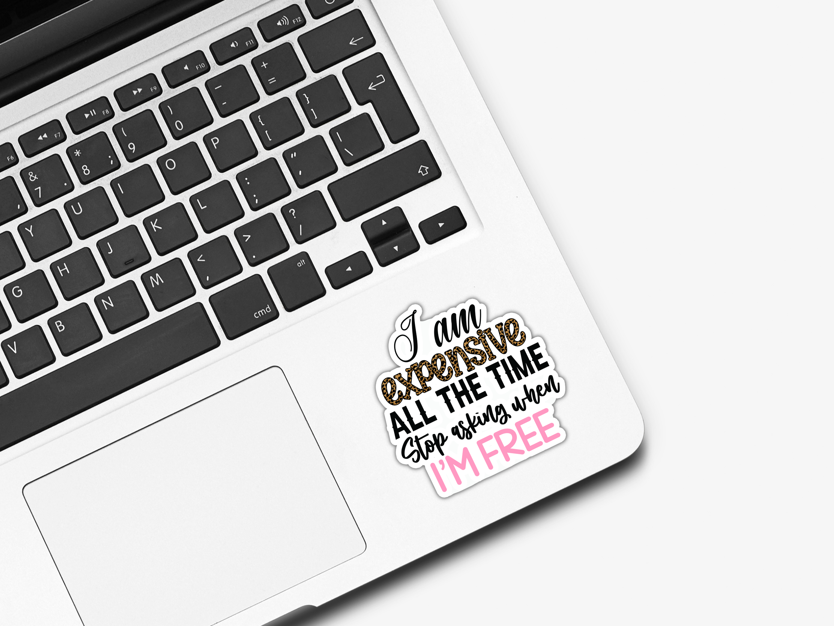 Forest Crafts – Adesivo por atacado – '... caros o tempo todo...' adesivos engraçados/sarcásticos1