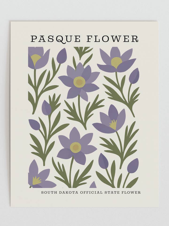 South Dakota State Flower Art Print – Pasque Flower for wholesale by The FlatFile Society