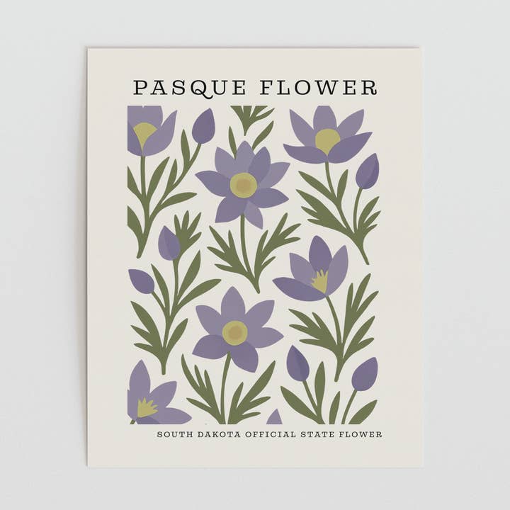 The FlatFile Society - Wholesale Art Print - South Dakota State Flower Art Print – Pasque Flower0