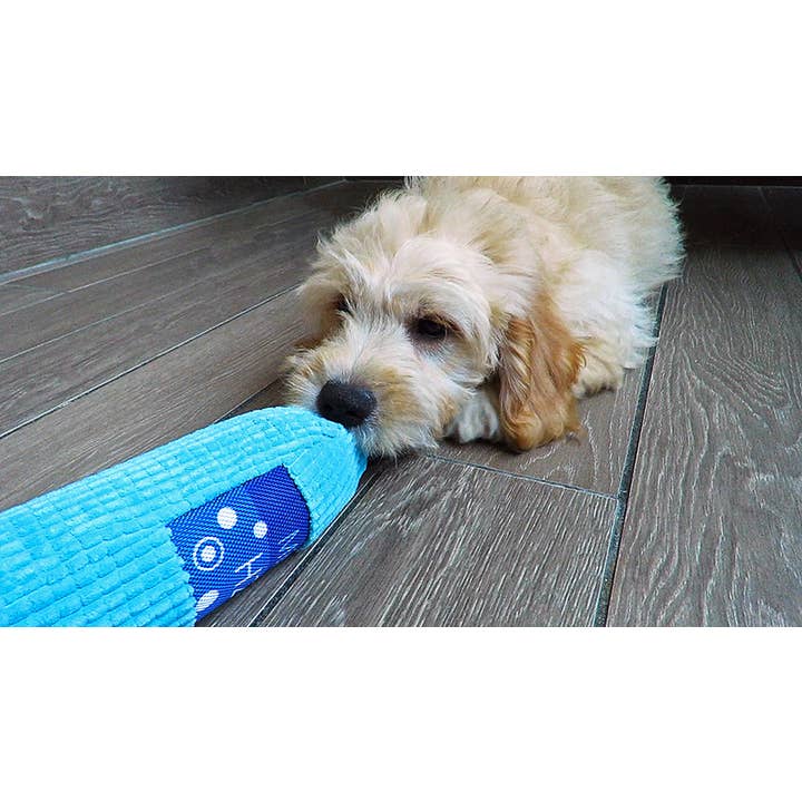 Scoochie Pet Products - Wholesale Pet Chew Toy - Dog - 8 Inch Crunchzilla Eco Friendly Water Bottle2