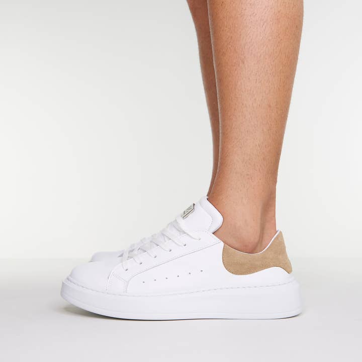 LOSTEY BCS for wholesale by Miamicci