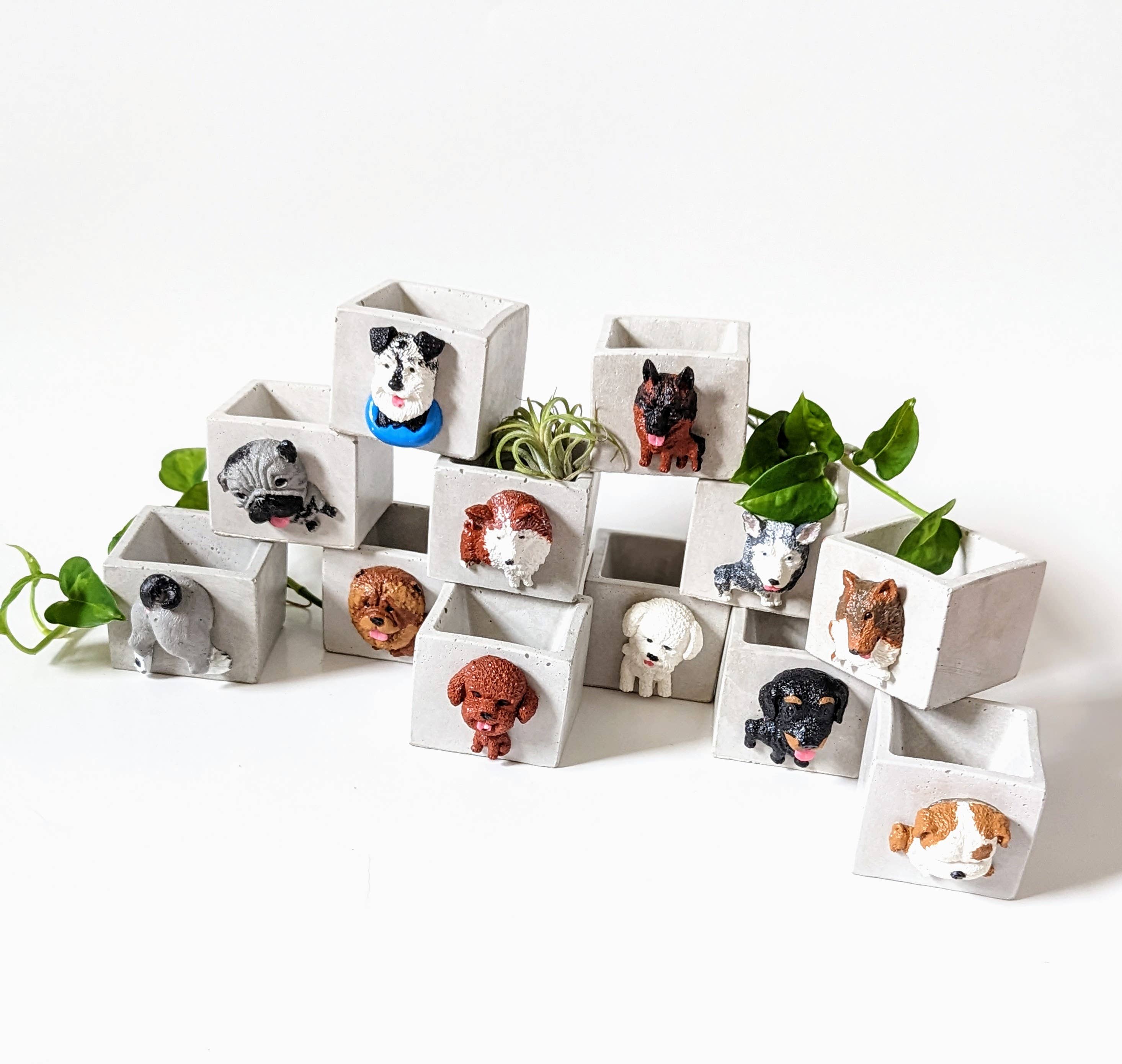 ForgottenProperty - Wholesale Plant pot - Doggo Mini Concrete Planter and Air Plant Holder0