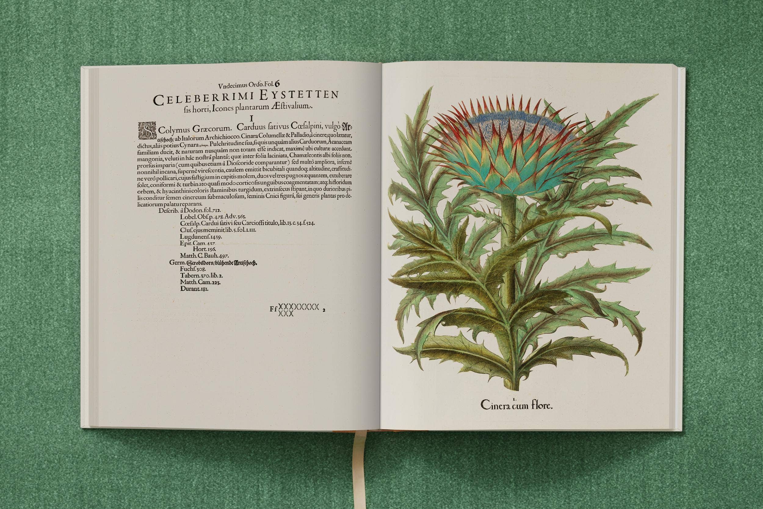 TASCHEN Europe – wholesale Nature & outdoors book – Basilius Besler. The Garden at Eichstätt (German, French, English)14