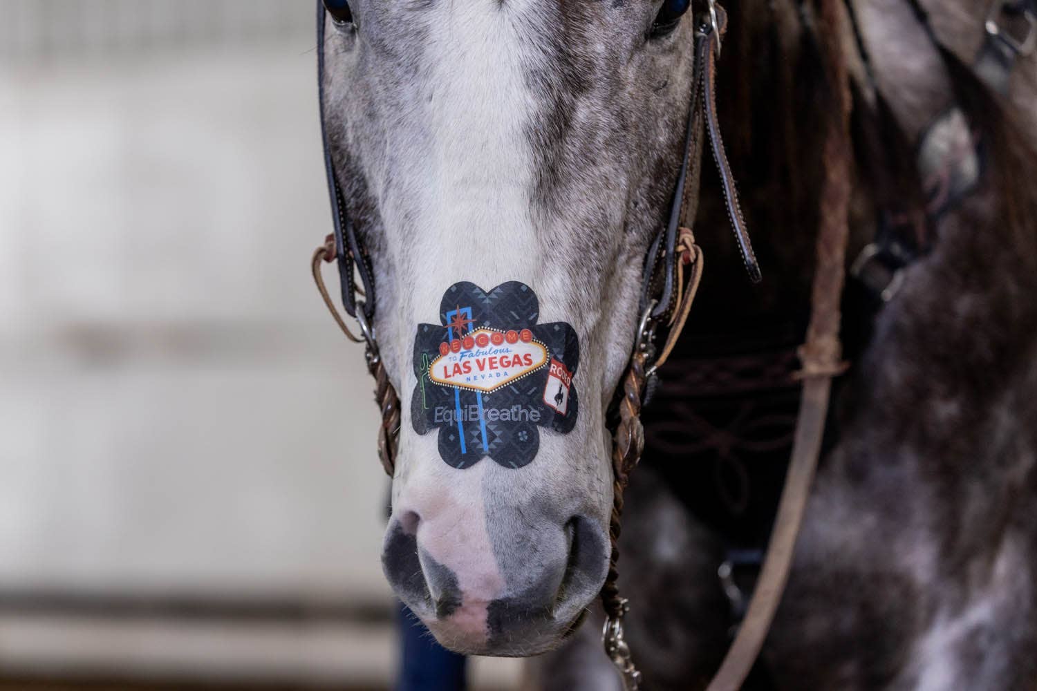 EquiBreathe™ – Equipamento de equitação por atacado – EquiBreathe™ Adesivo Nasal Equino - Vegas15