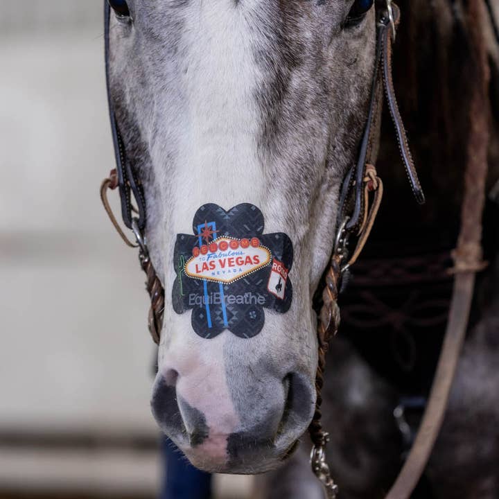 EquiBreathe™ – Equipamento de equitação por atacado – EquiBreathe™ Adesivo Nasal Equino - Vegas15