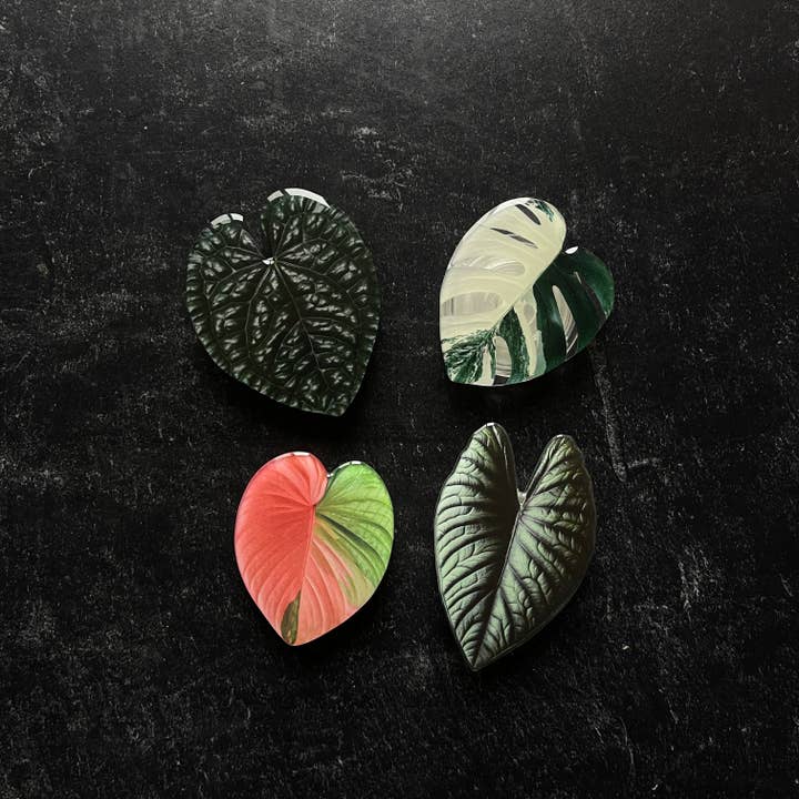 Plant Pop Socket for wholesale by That Sage Life