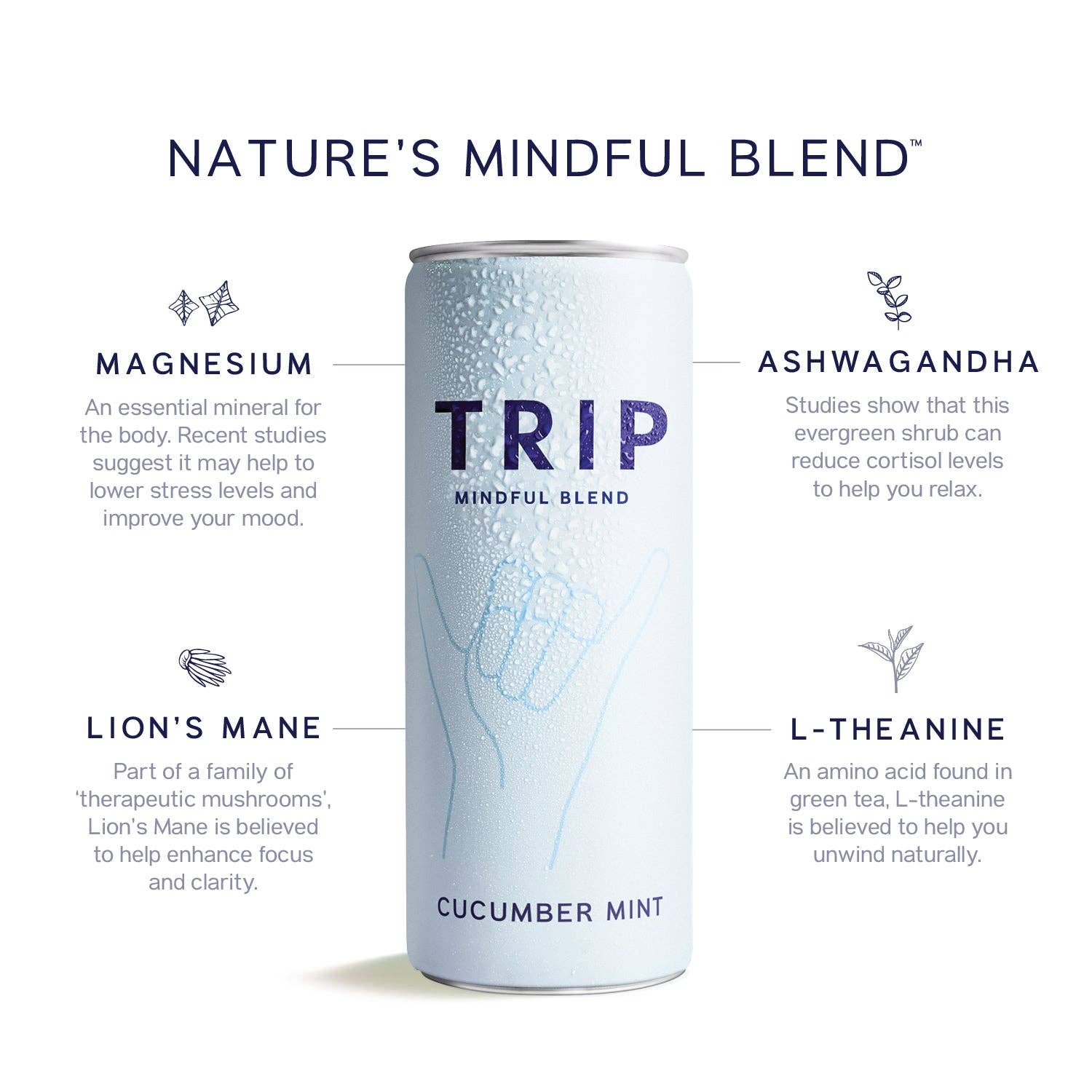 TRIP - Wholesale Non-Alcoholic Aperitif/Mocktail - TRIP Melon Cucumber Mindful Blend3