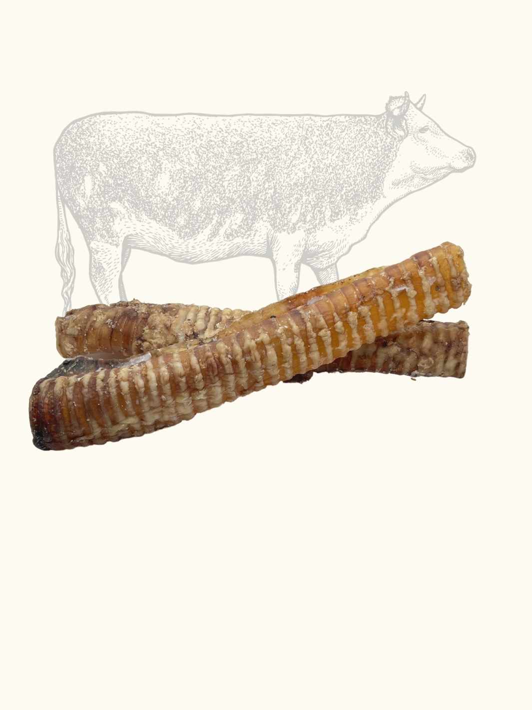 Truffe Délice - Vente Friandises – chien - Trachées de bœuf3