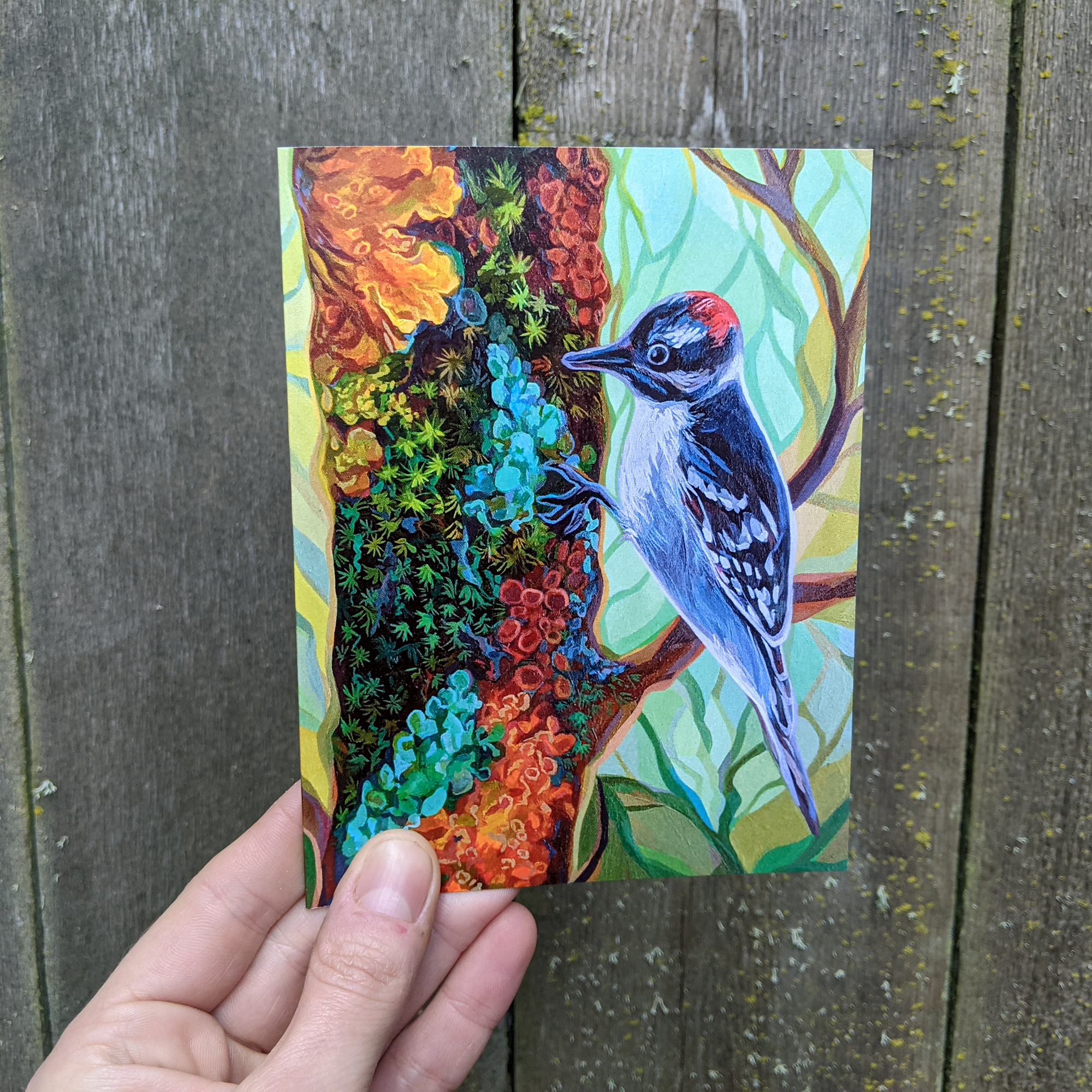 Marigold Art Studios - Wholesale Everyday Greeting Card - Woodpecker & Lichens Forest Wildlife - All Occasion Cards1