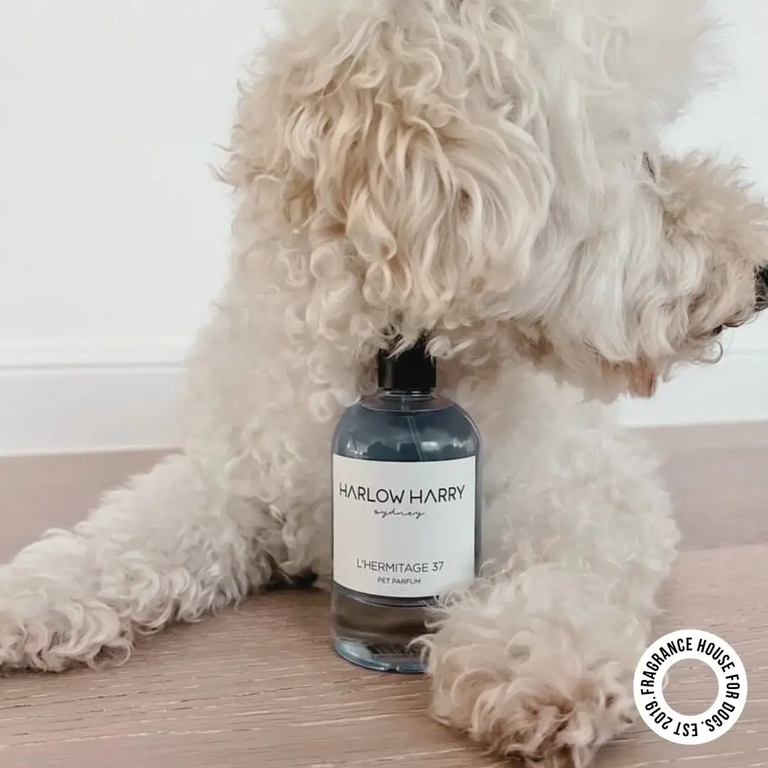HARLOW HARRY - Wholesale Pet Spray - Dog - Dog Perfume | L'hermitage 373