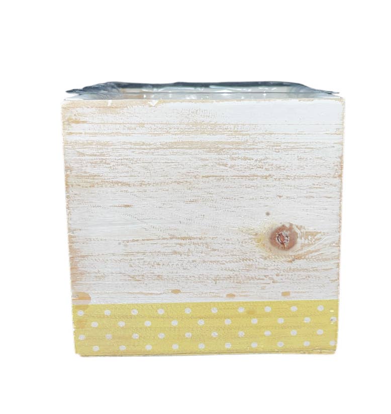 Thompson Wholesale - Wholesale Plant Pot - 5" White Washed Square Wood Pots -- 12 Pack4