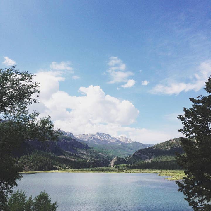 Serene // Colorado for wholesale by Alison Holcomb Creative