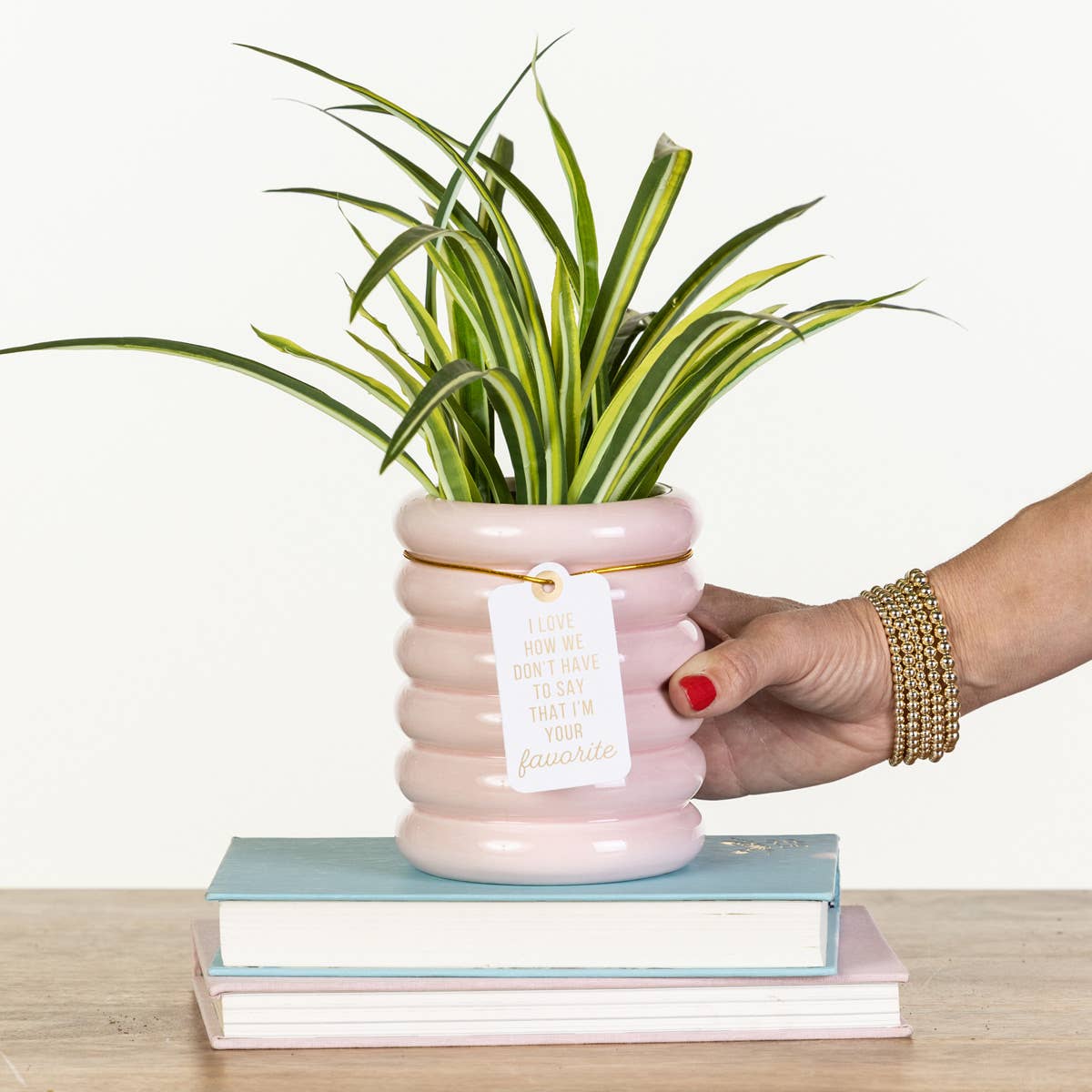 How We Don’t Have To Say Pink Planter for wholesale on Faire0