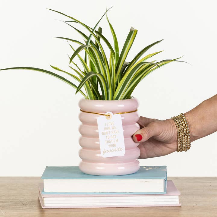 How We Don’t Have To Say Pink Planter for wholesale by Totalee Gift