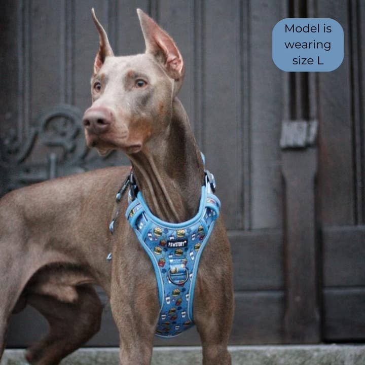 PawStory – Arnês – Cão por atacado – Peitoral Trail Buddy - McWoofies3