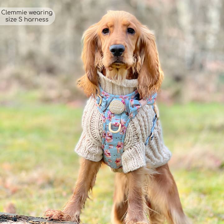 Pawsome Paws – Großhandel Haustiergeschirr – Hund – Disney© Tough Trails™ Geschirr – Winnie Puuh35