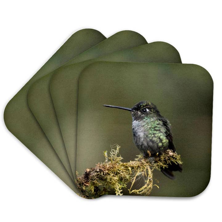 3dRose - Wholesale Coasters - 3dRose, Talamanca Hummingbird, Costa Rica, Central America, Coaster7