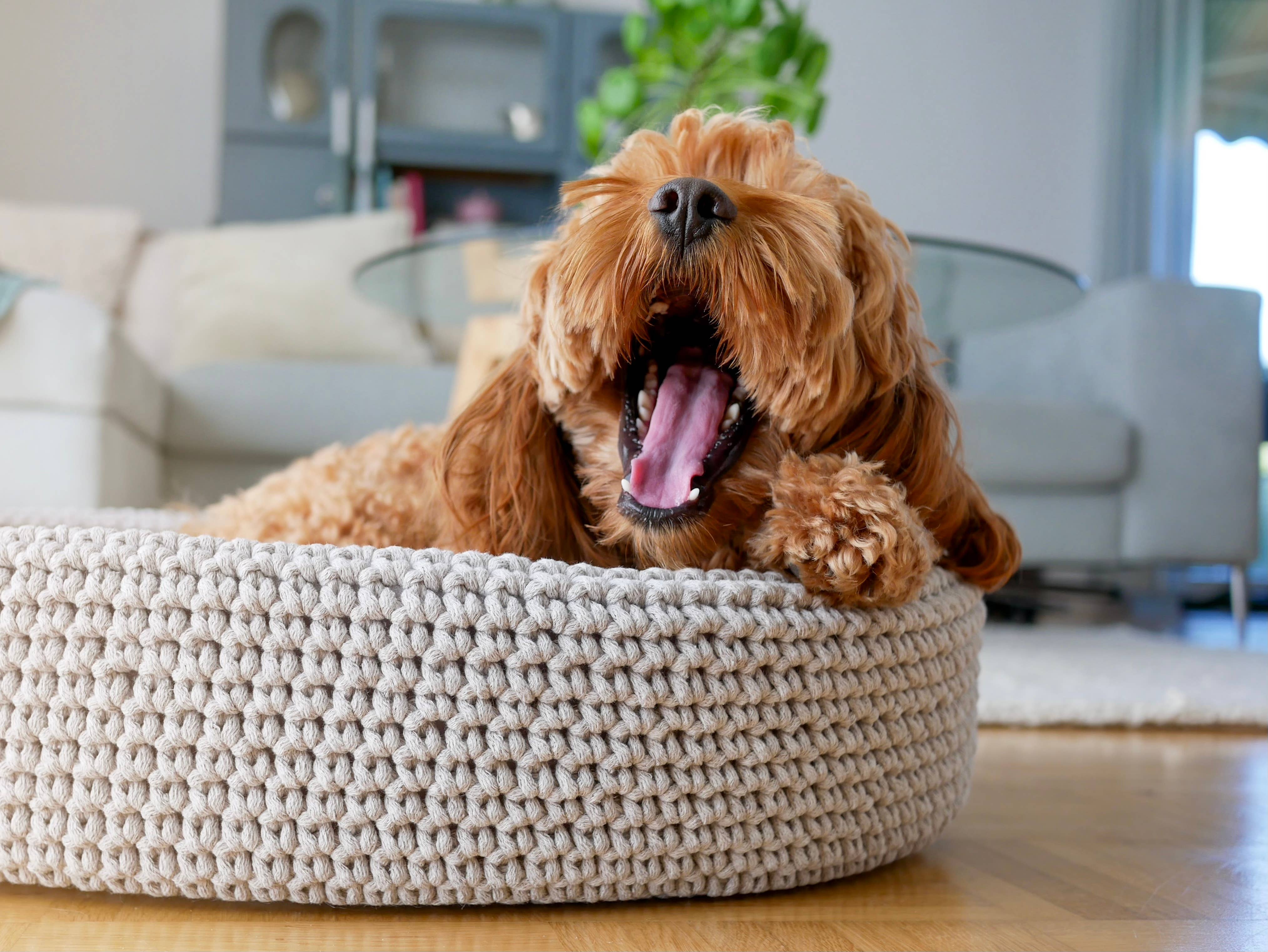 Labbvenn - Vente Panier – chien - Panier pour chien Lukko de forme ovale unique, entièrement fait à la main11