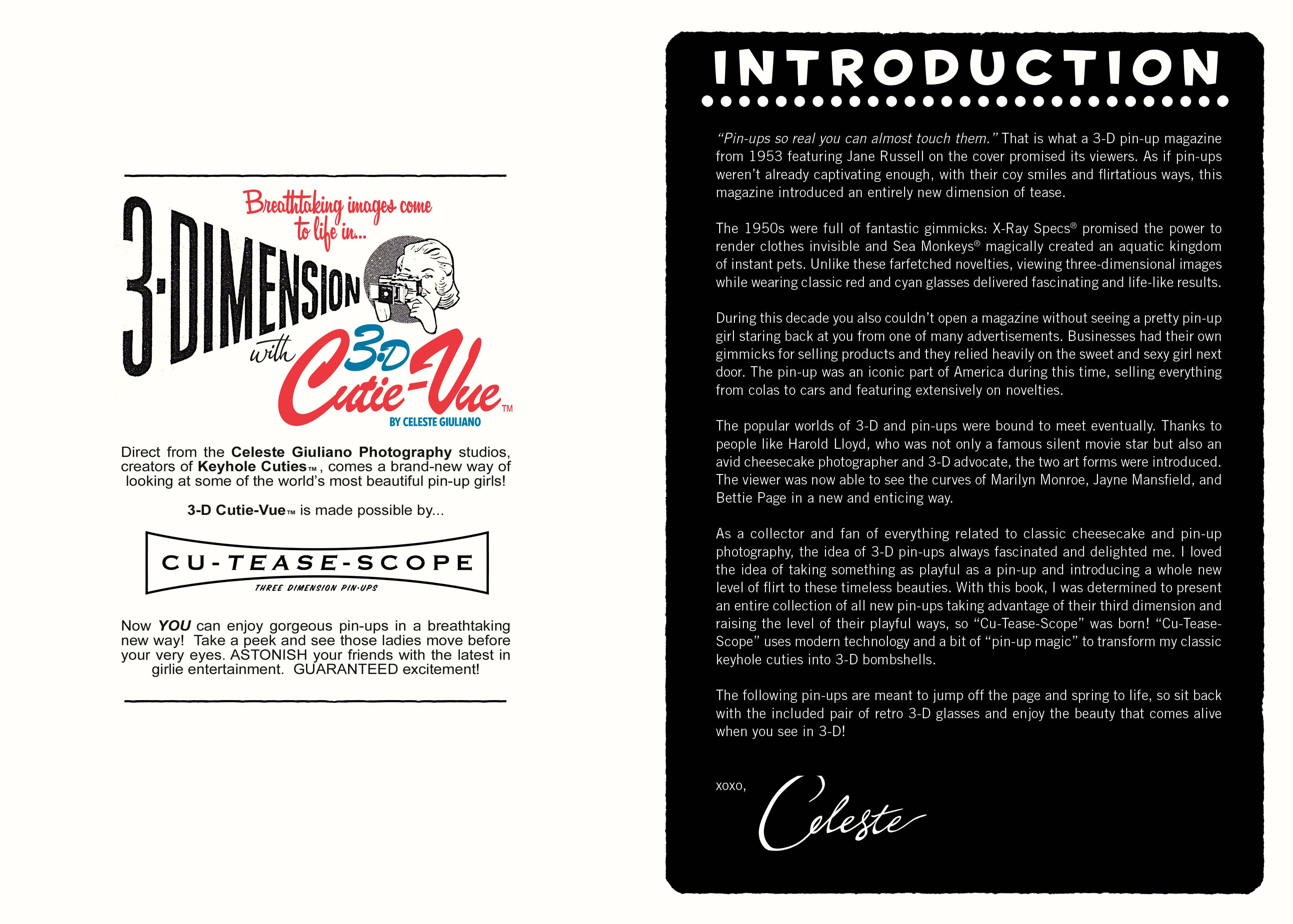 Schiffer Publishing - Wholesale Display Book - Celeste Giuliano's Pin-ups in 3-D3