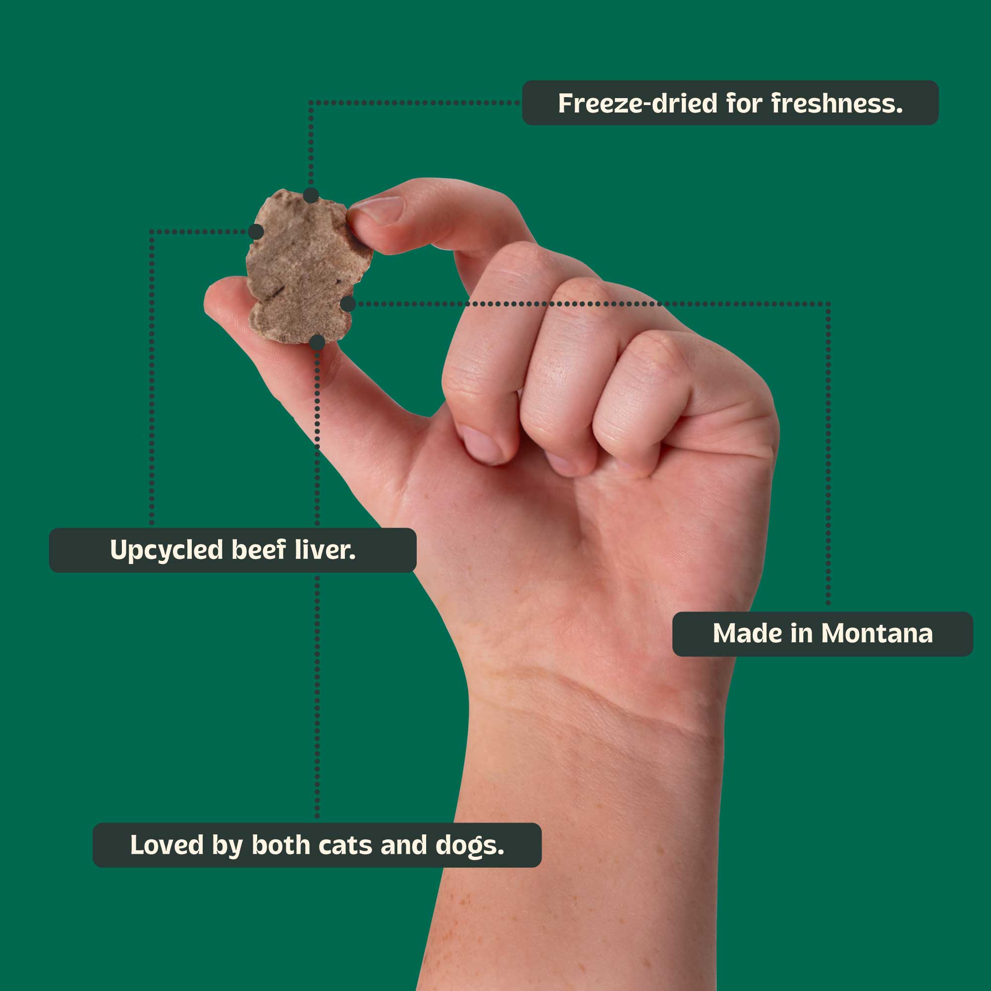 Bridger Bites, LLC - Wholesale Pet Treats - Dog - Freeze-Dried Beef Liver6