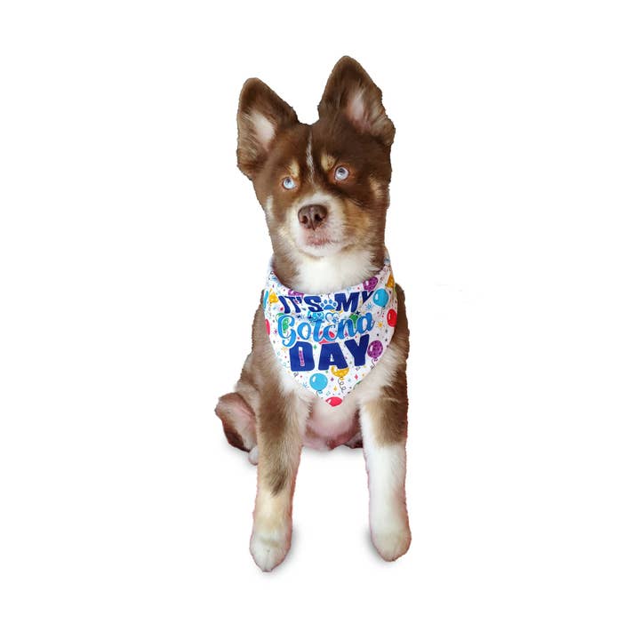 Barker's Bowtique - Wholesale Pet Bandana - Dog - It's My Gotcha Day Dog Bandana - single sided