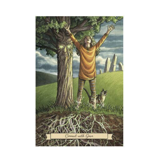 Cardshouse - Wholesale Tarot Cards - Everyday Witch Oracle Cards Llewellyn