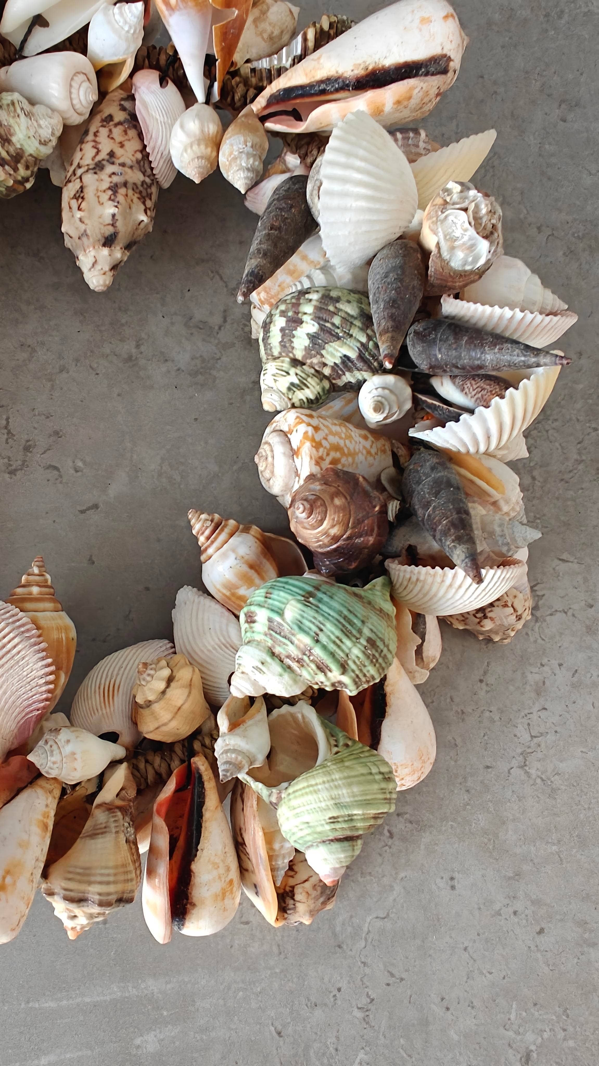 Product Import Holland - Wholesale Wreath - Shell wreath 28 cm - coast - decoration - wall hanging - beach1