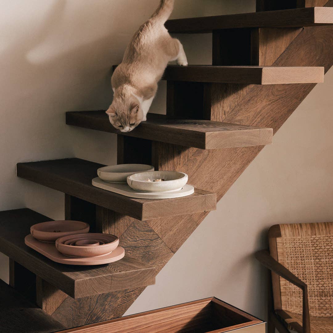 PINO - Wholesale Pet Bowl - Cat - Whisker Friendly Bowl16