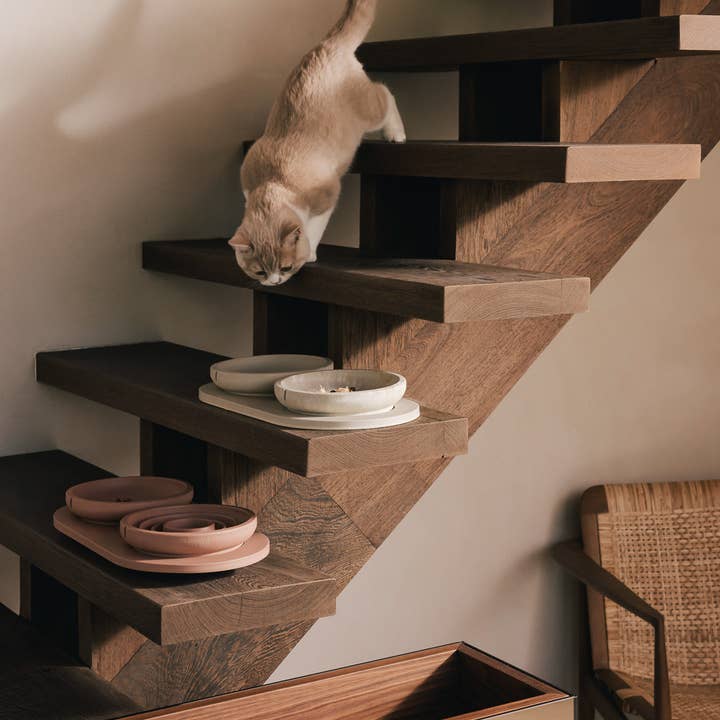 PINO - Wholesale Pet Bowl - Cat - Whisker Friendly Bowl16