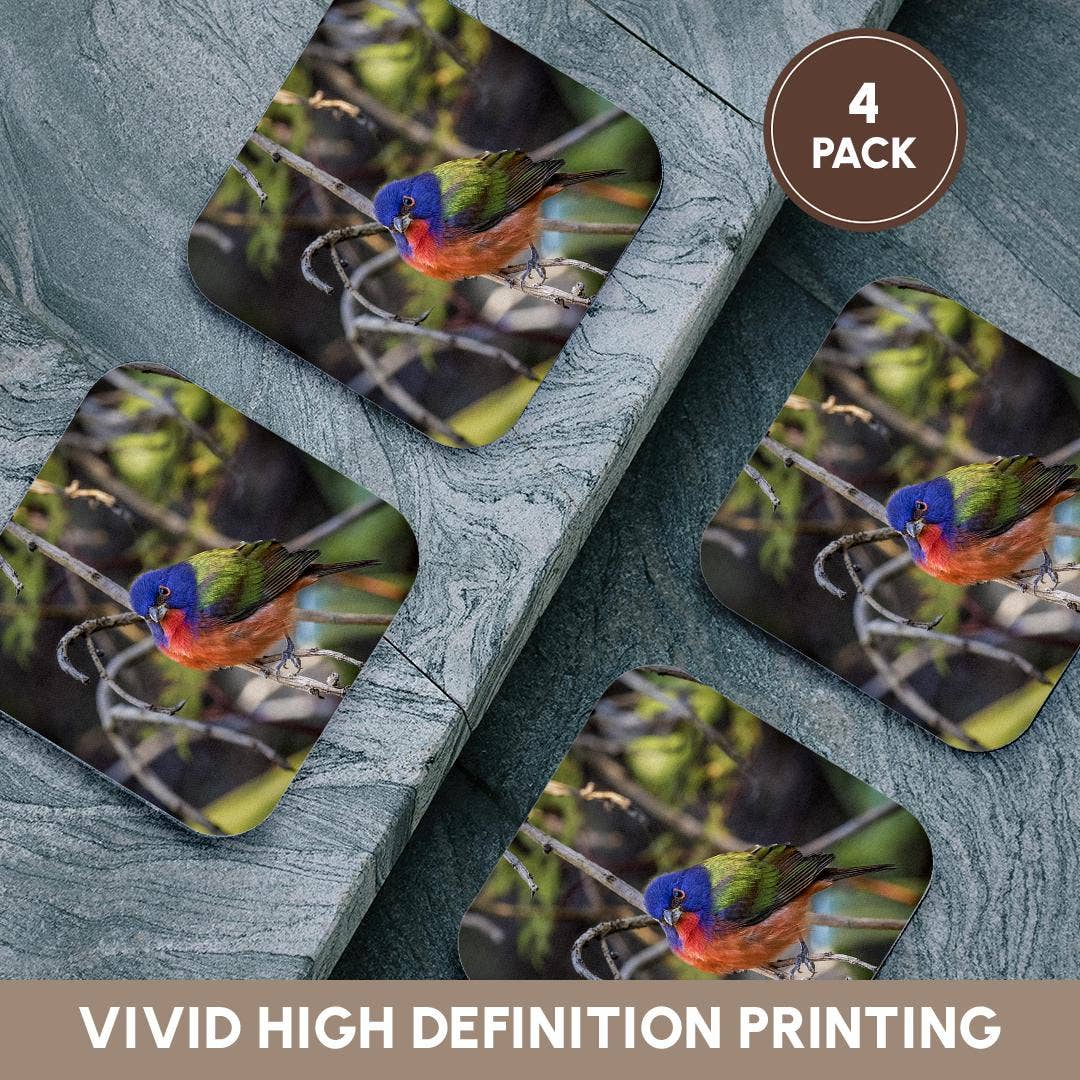 3dRose - Wholesale Coasters - 3dRose, A beautiful male painted bunting., Coaster12