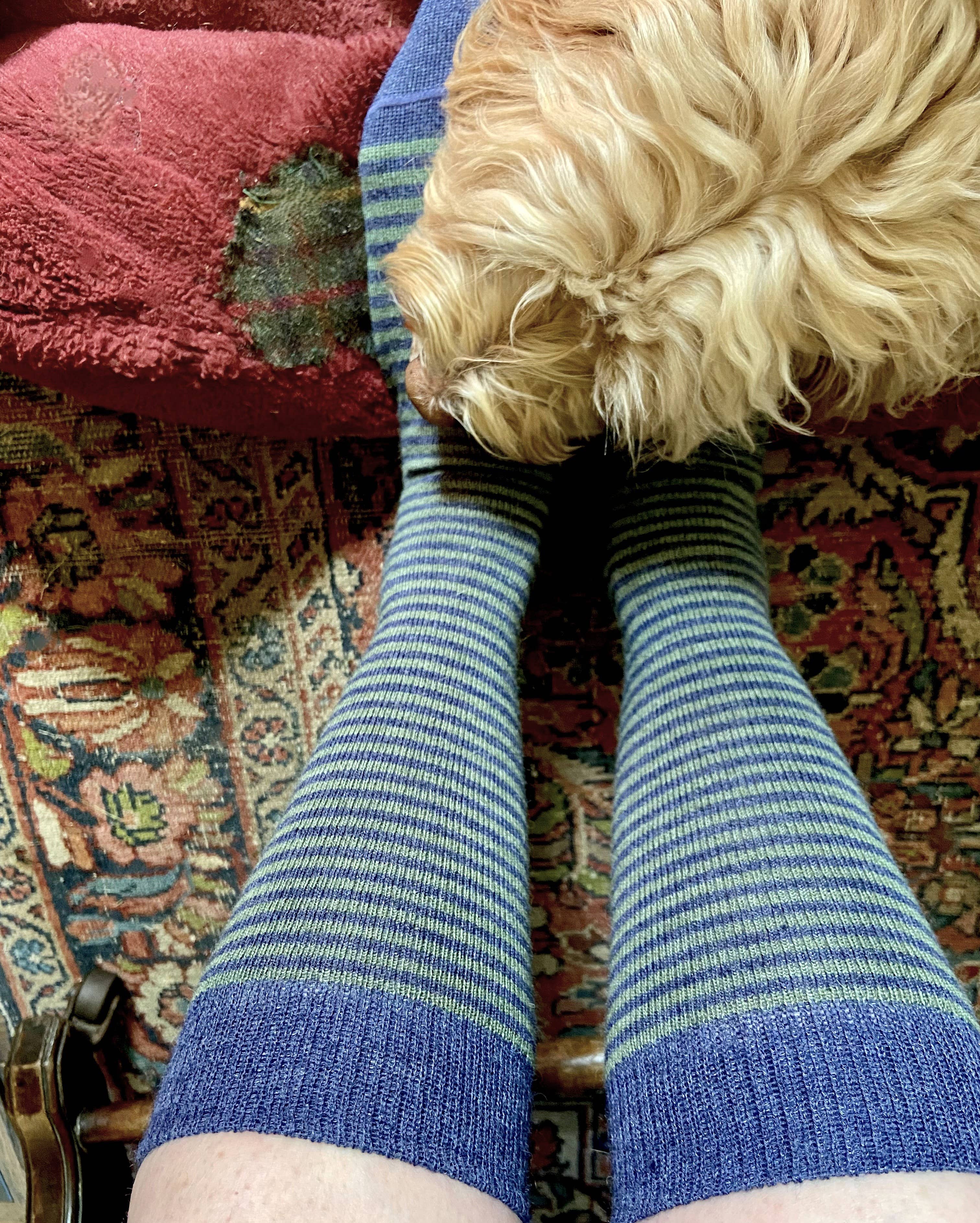 Samantha Holmes Alpaca Clothing and Gifts - Vendita all'ingrosso Calzini - Uomo - Calze a righe in alpaca nuove colorazioni UK 7-10 EU 40-44 US 6,5-9,50