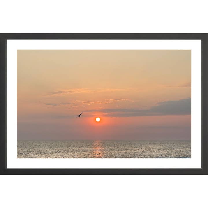 Flyvning for engroshandel hos Oceanafy