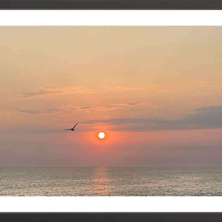 Volo per la vendita all'ingrosso da parte di Oceanafy