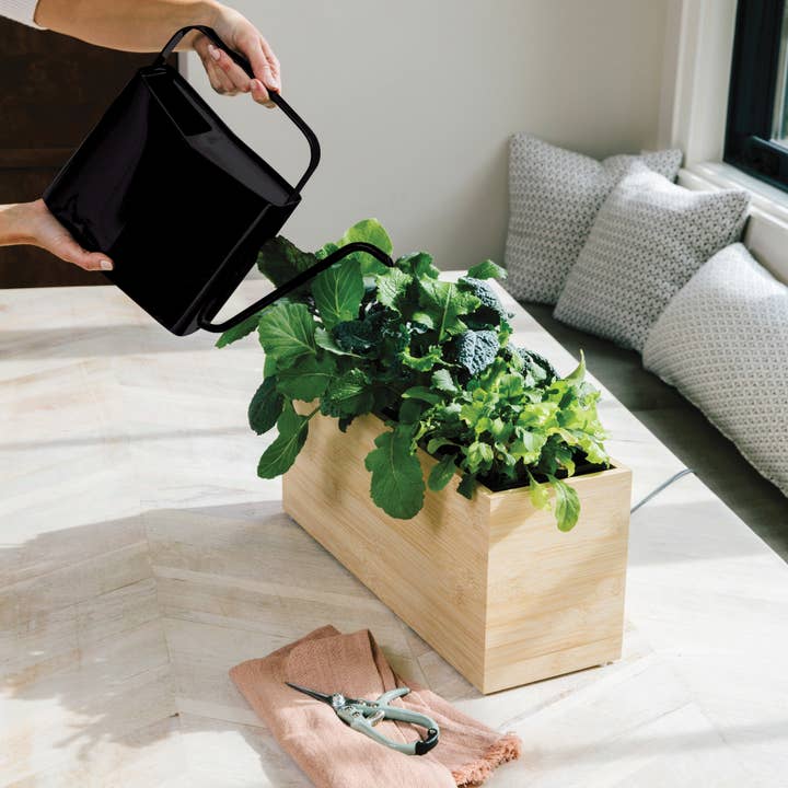 Modern Sprout - Wholesale Watering Can - Modern Watering Can