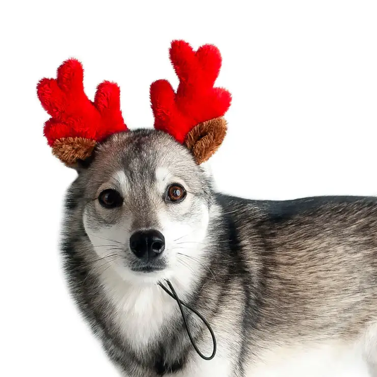 Midlee Designs - Wholesale Pet Costume - Dog - Midlee Christmas Reindeer Small Dog Antlers2