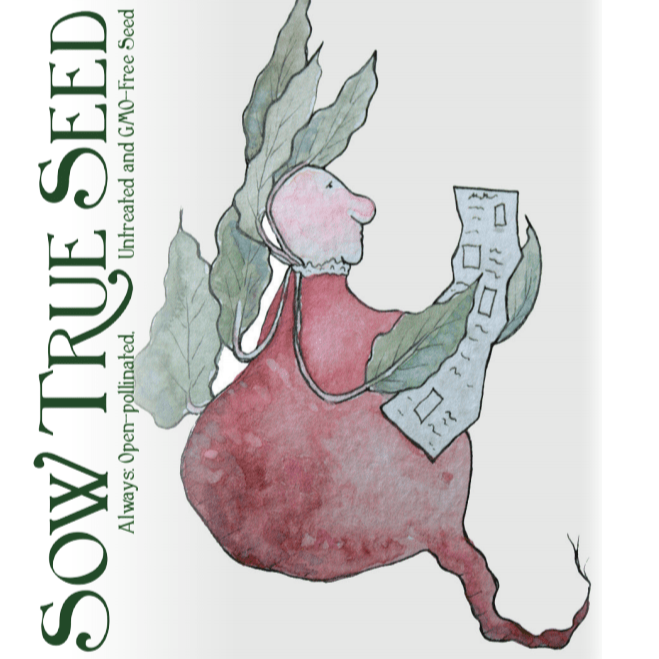 Sow True Seed - Wholesale Plant Seeds - Beet Seeds - Detroit Dark Red, ORGANIC1