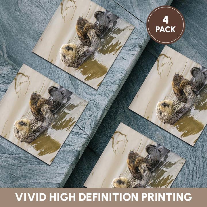 3dRose - Wholesale Coasters - 3dRose, California, Morro Bay. Sea otter mother and pup in water., Coaster5